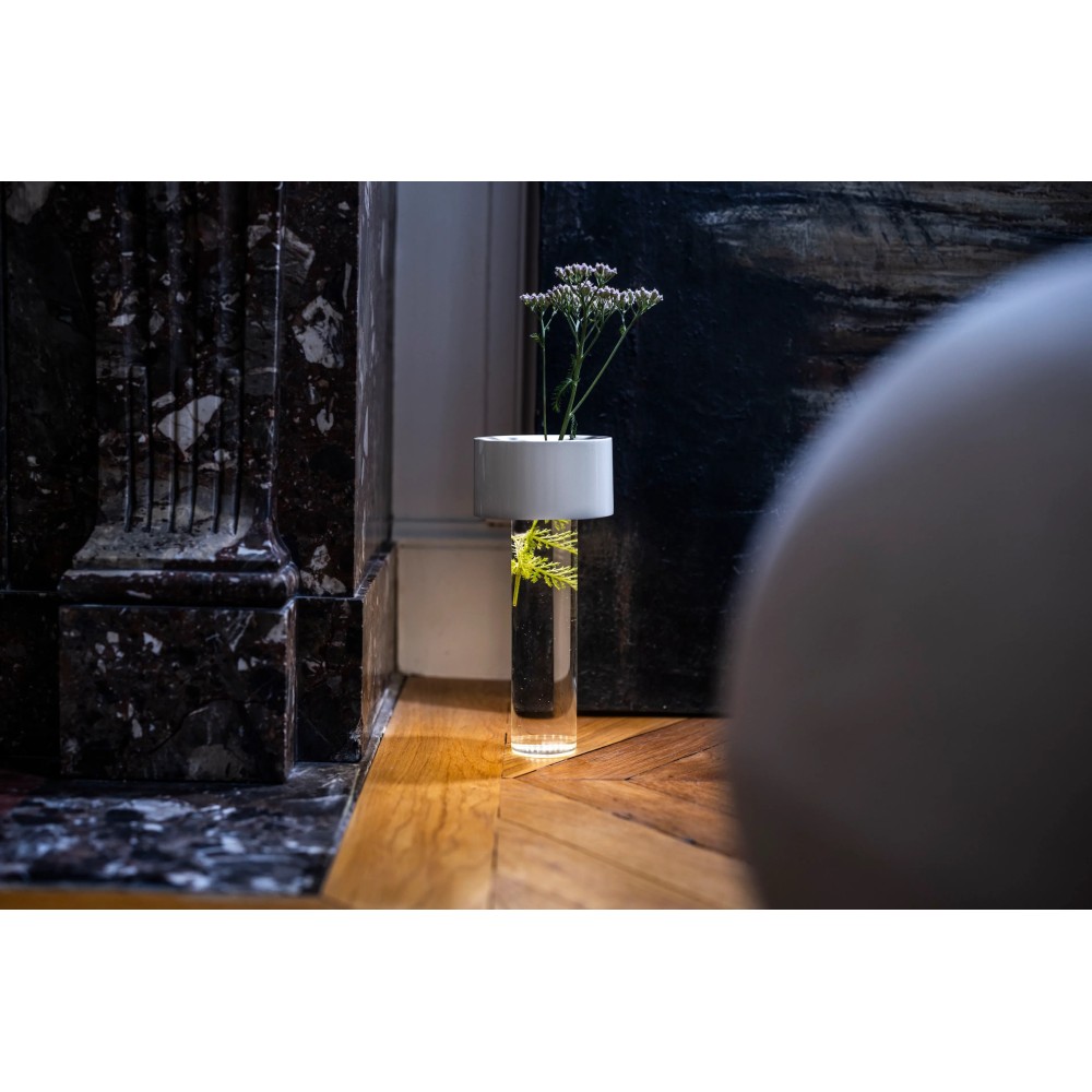 Vaso luminoso Fleur LED di Foscarini - verde