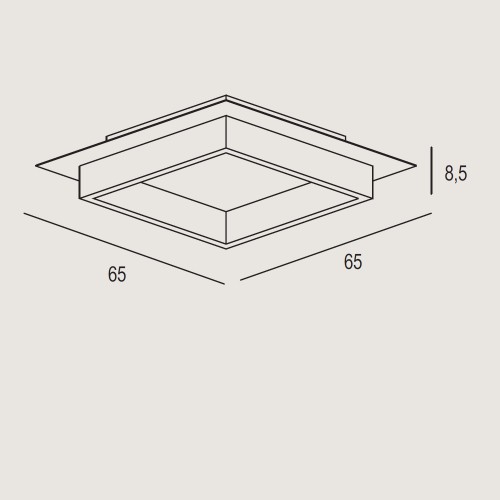 Exclusive Light Square Q65